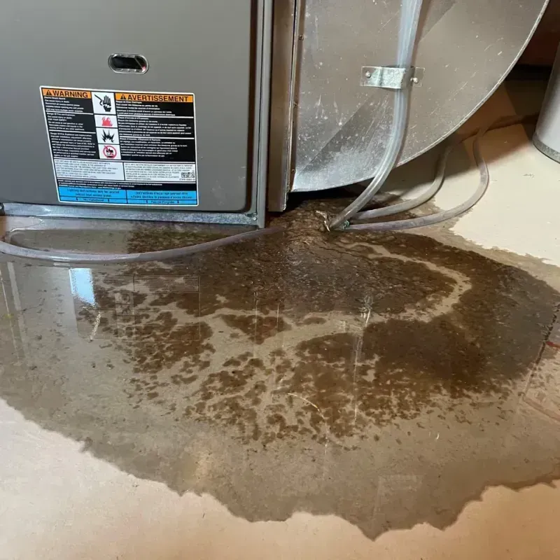 Appliance Leak Cleanup in Hillsborough, CA